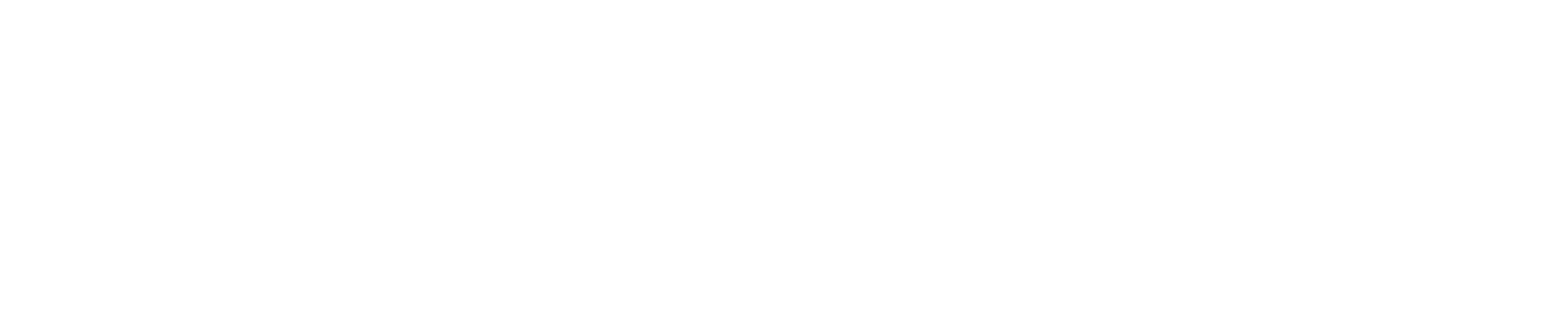 Vislund